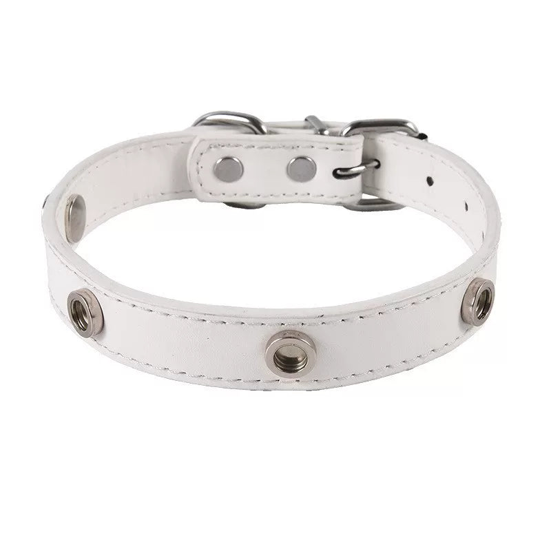 DIY Snap-on Collar Base — Ivory White