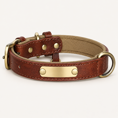Coconut Brown personalised padded dog collar