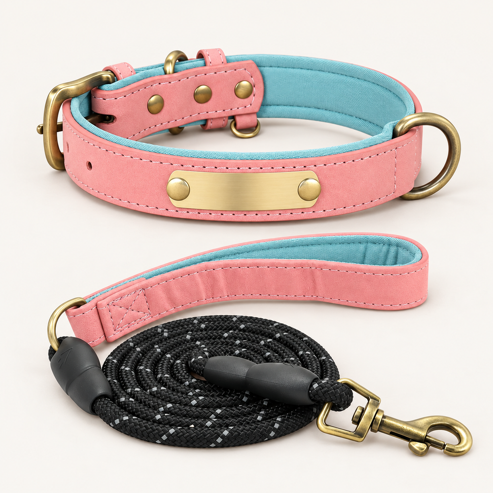 Blush Pink personalised padded dog collar with matching rope lead