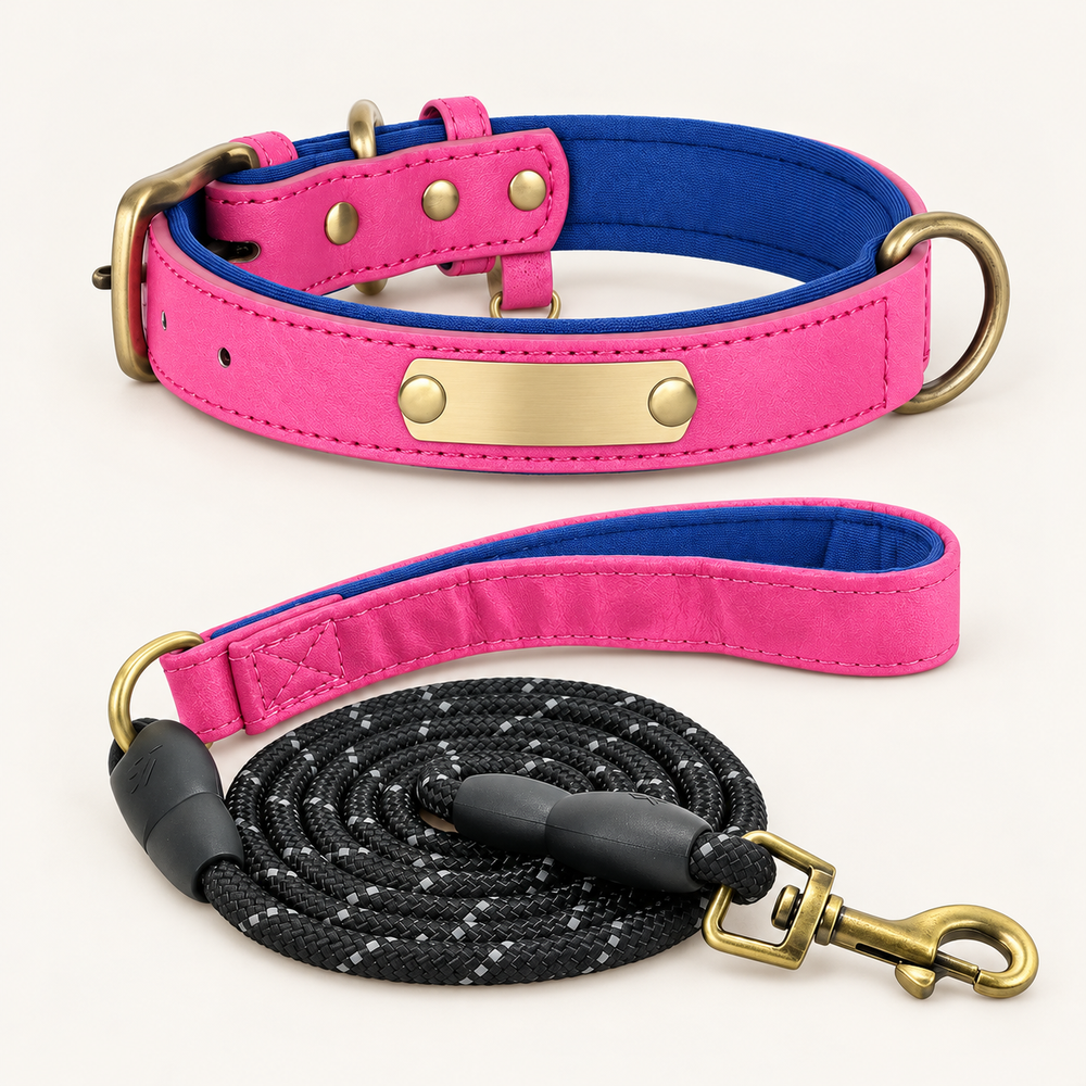 Hot Pink personalised padded dog collar with matching rope lead