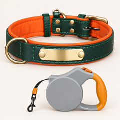 Emerald Green personalised padded dog collar with grey and orange retractable lead