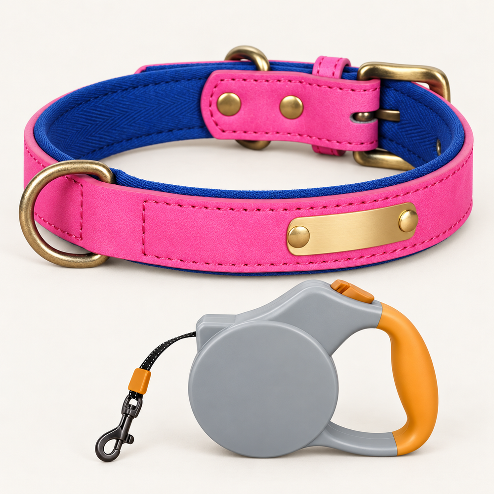 Hot Pink personalised padded dog collar with grey and orange retractable lead