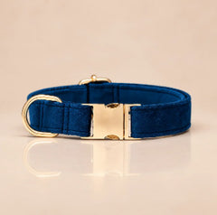 Custom Leather Collars · Style 01