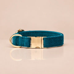 Custom Leather Collars · Style 05