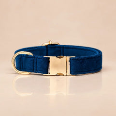 Custom Leather Collars · Style 09