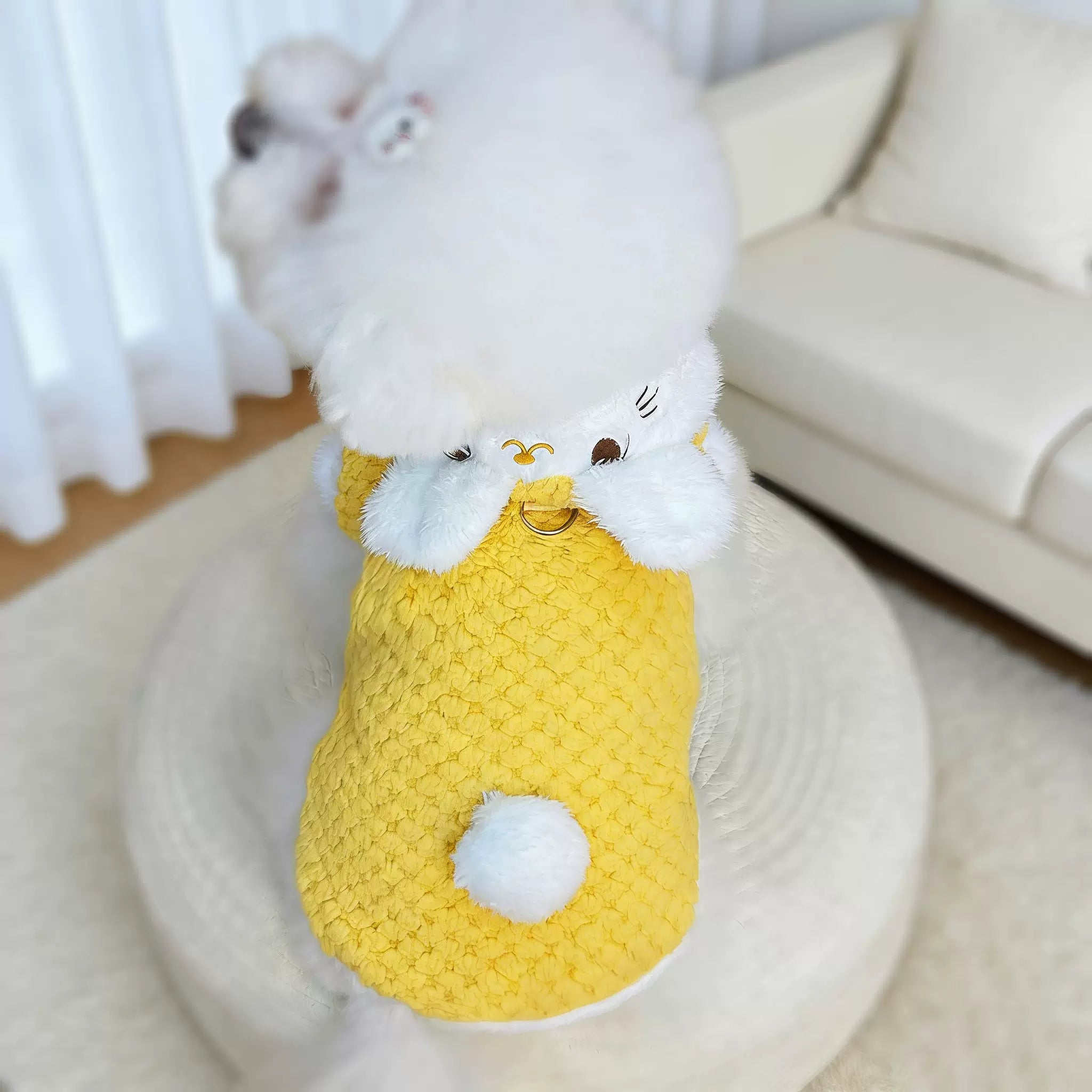 Yellow Collared Knit Pet Vest