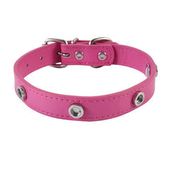 DIY Snap-on Collar Base — Roselle Red