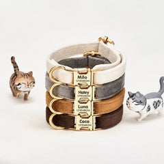 Personalised Collar - Classic four colour options