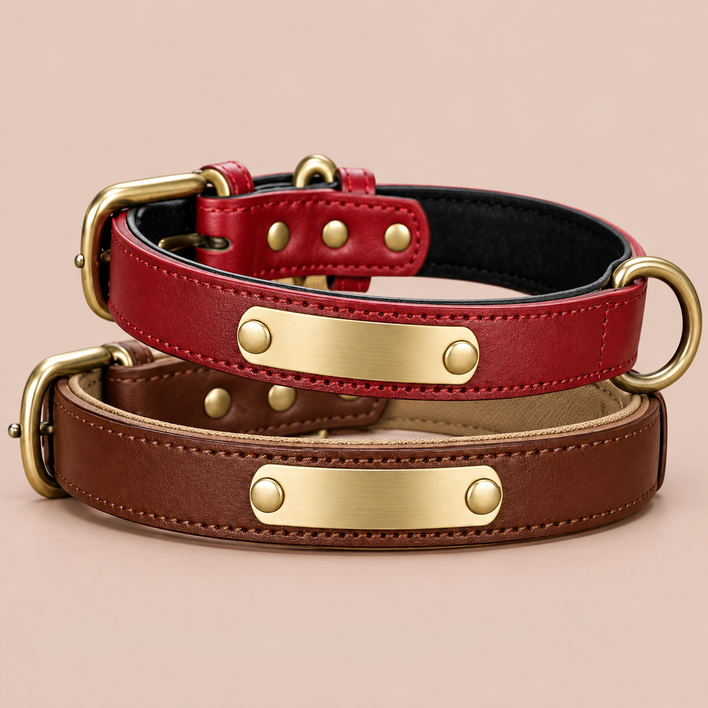 Custom Leather Collars