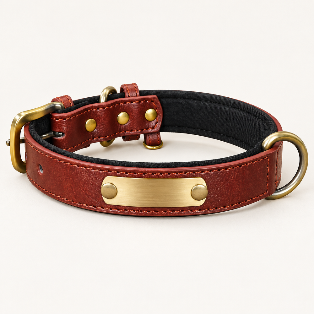 Burgundy personalised padded dog collar