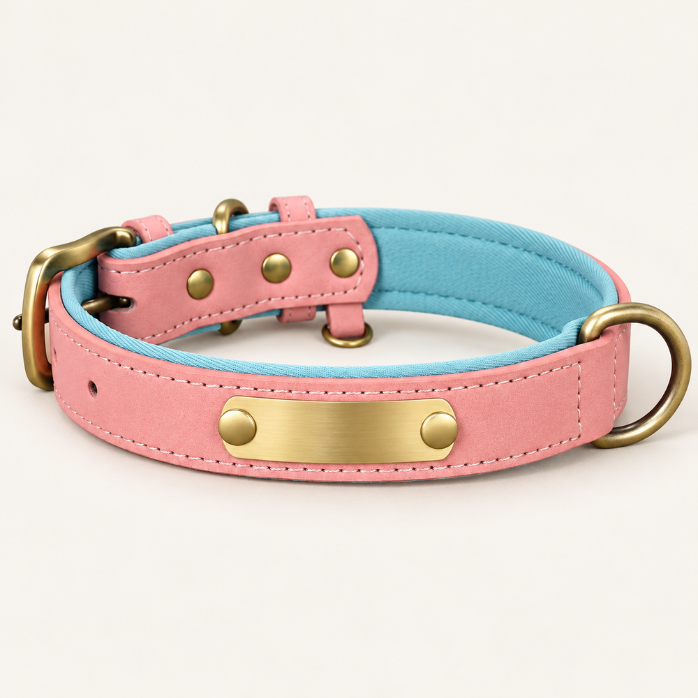 Blush Pink personalised padded dog collar