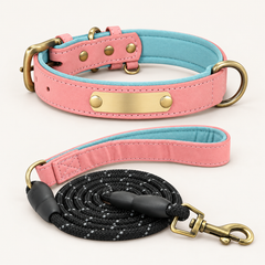 Blush Pink personalised padded dog collar with matching rope lead