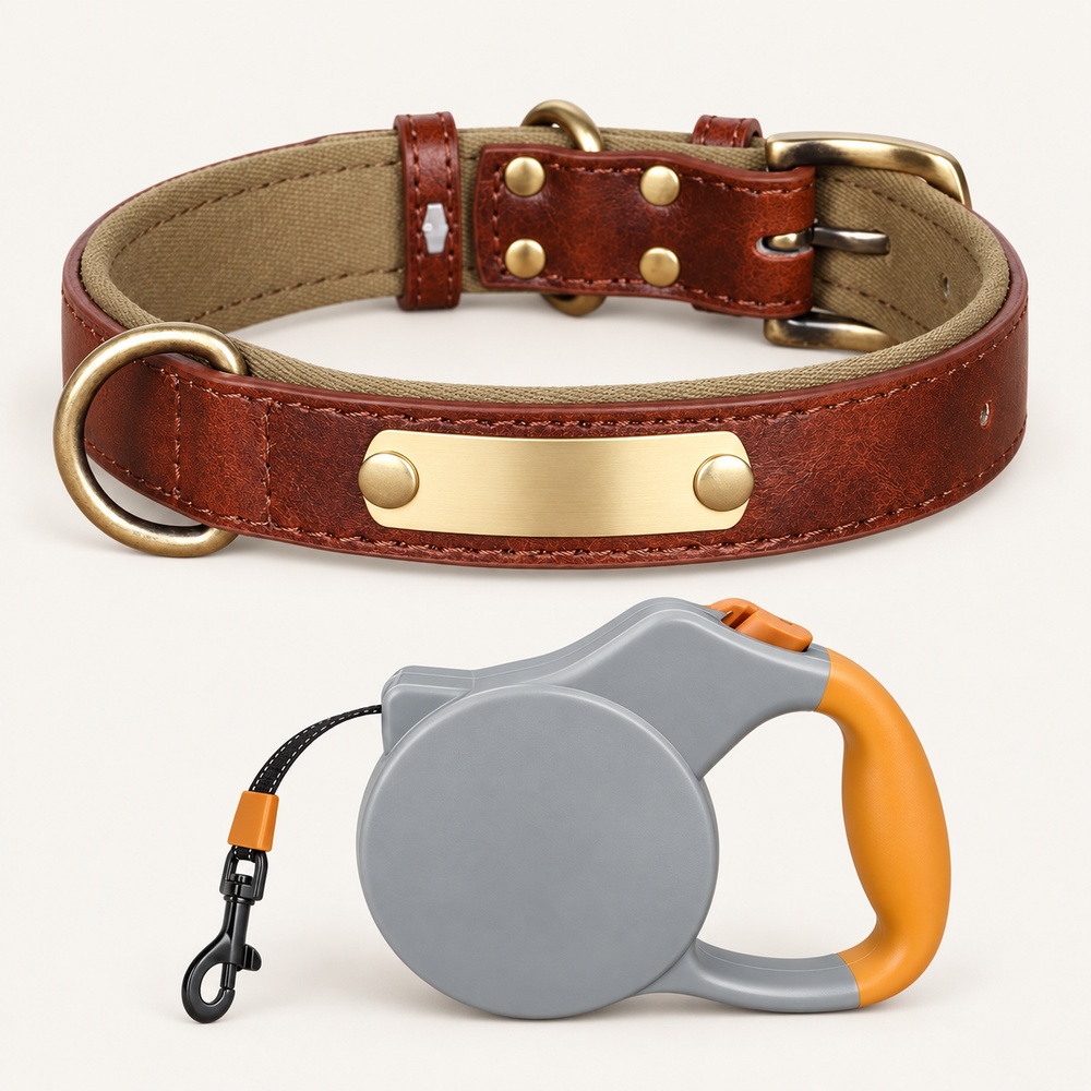 Coconut Brown personalised padded dog collar with grey and orange retractable lead
