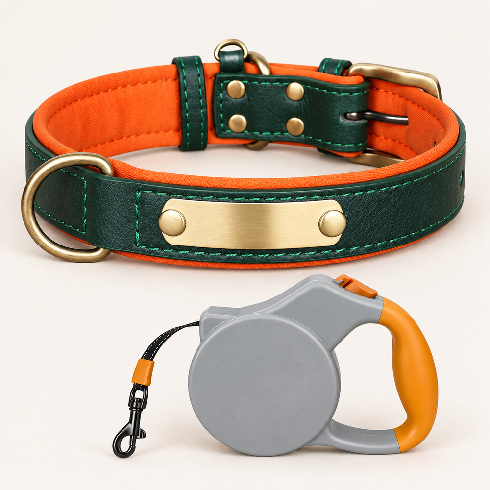 Emerald Green personalised padded dog collar with grey and orange retractable lead