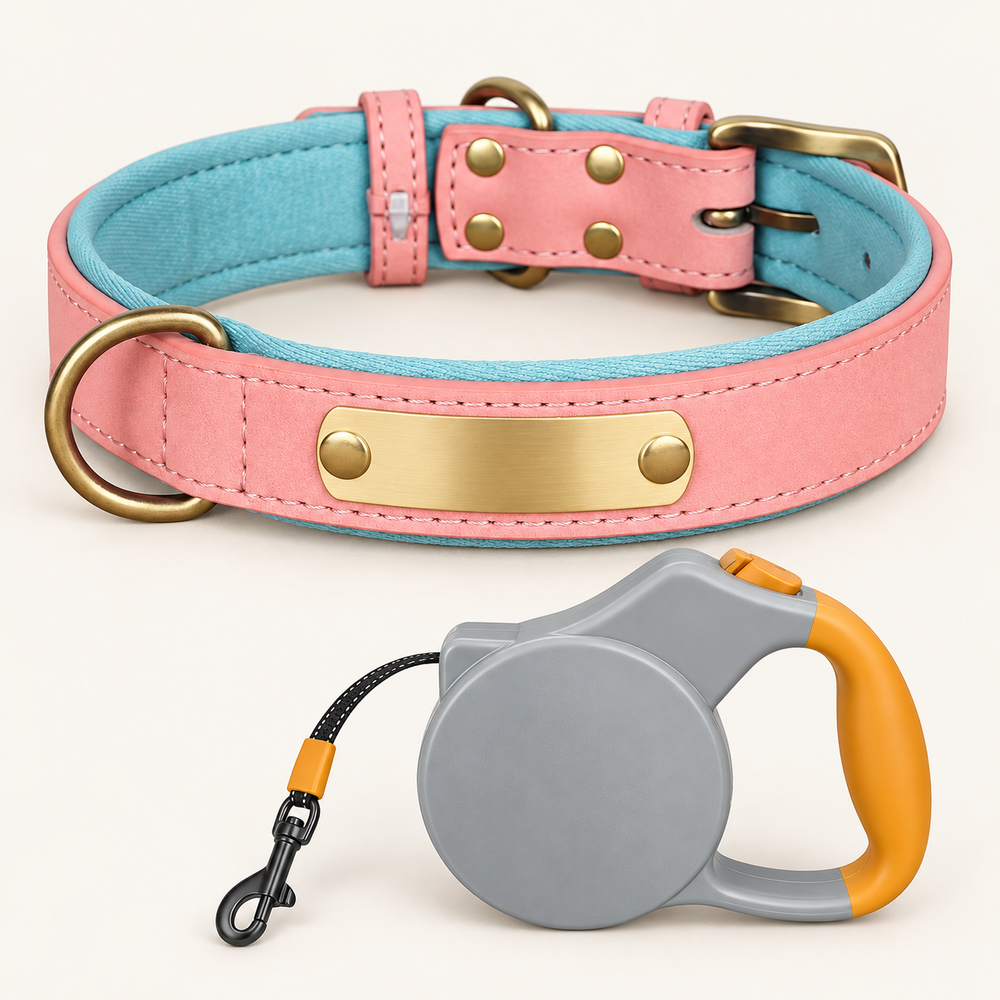 Blush Pink personalised padded dog collar with grey and orange retractable lead
