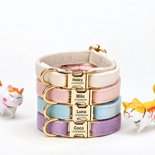 Personalised Collar - Pastel four colour options