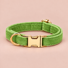 Green personalised velvet collar without a bell