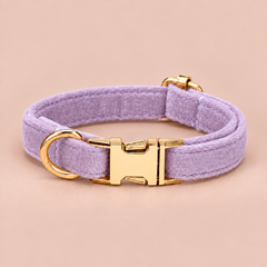 Lavender personalised velvet collar without a bell