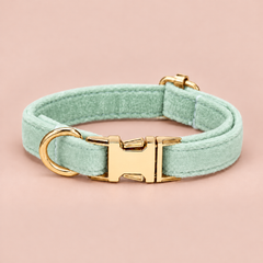 Mint personalised velvet collar without a bell