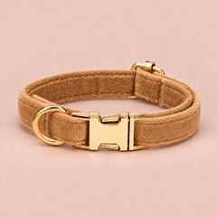 Tan personalised velvet collar without a bell
