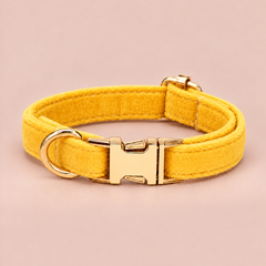 Yellow personalised velvet collar without a bell