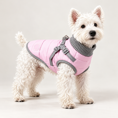 White terrier wearing a blossom pink quilted dog puffer vest with a grey high neck and harness