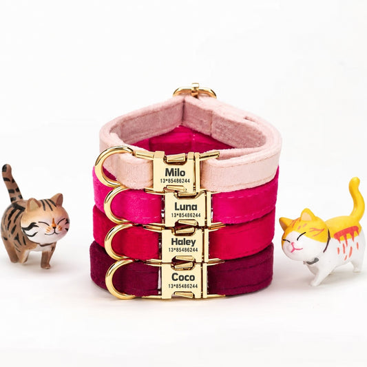 Personalised Collar - Rose four colour options