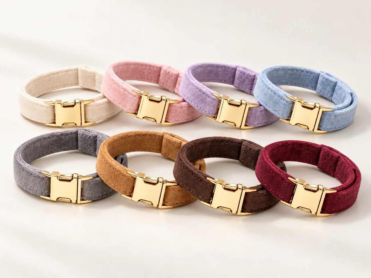 Eight collar colours with gold clasps arranged on a light studio background