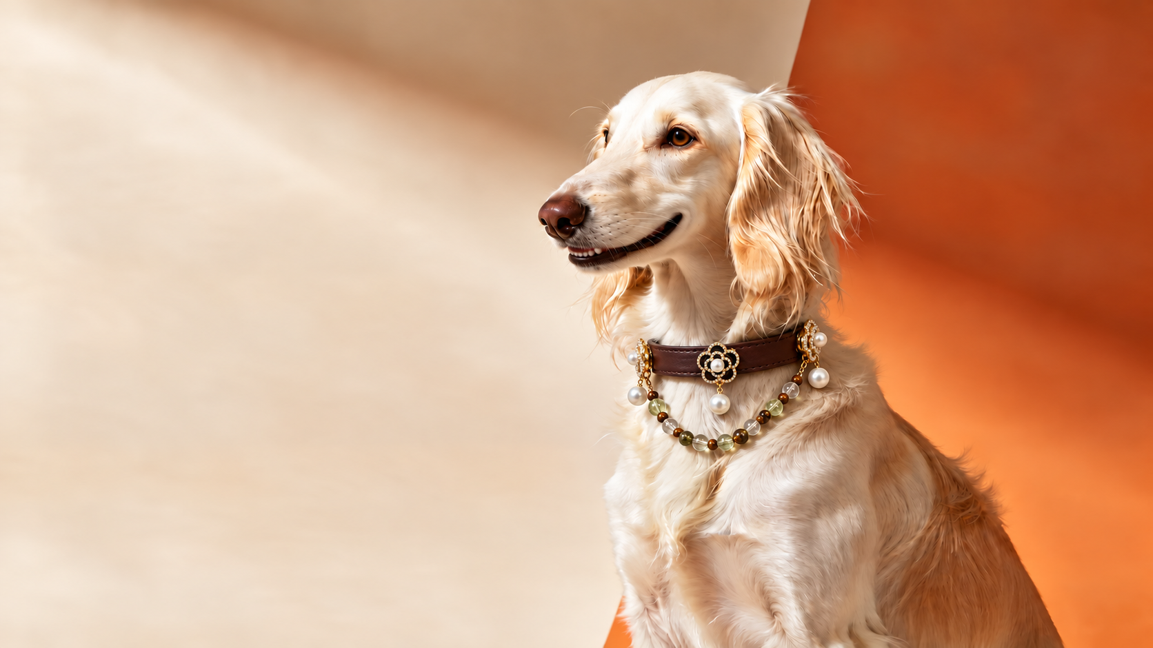 Cream dog wearing a dark brown flower and pearl collar